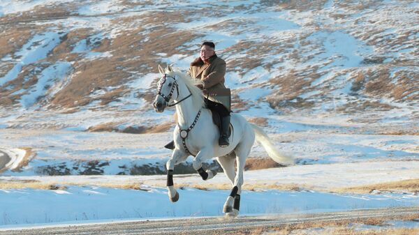 Лидер КНДР Ким Чен Ын поднялся на священную гору Пэктусан