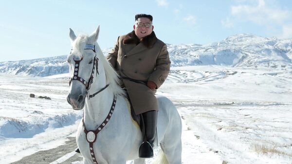 Лидер КНДР Ким Чен Ын поднялся на священную гору Пэктусан