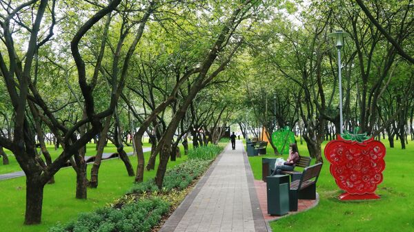 Аллея в парке Яблоневый сад в Бирюлево Западном