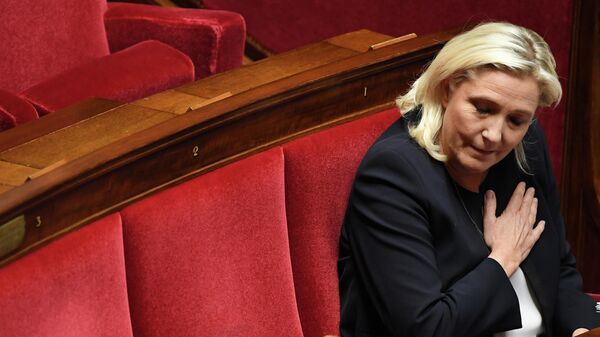 Депутат Национального собрания Франции от крайне-правой партии Марин Ле Пен