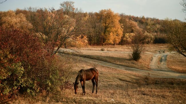 Осень в Крыму