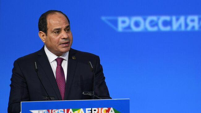 Президент Египта Абдель Фаттах ас-Сиси выступает на пленарном заседании экономического форума Россия - Африка в Сочи