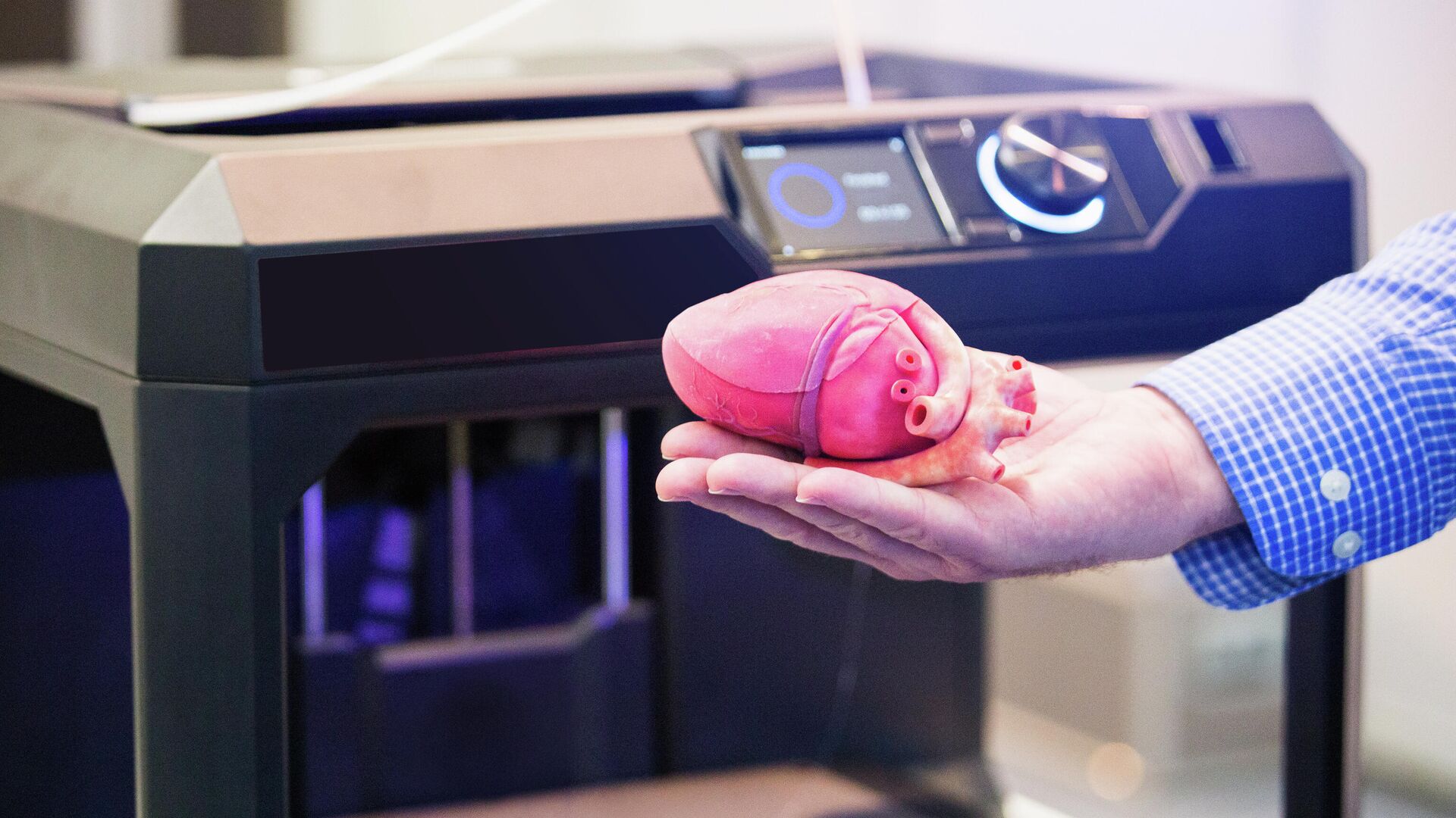 Сердце напечатанное на 3D-принтере - РИА Новости, 1920, 06.10.2021