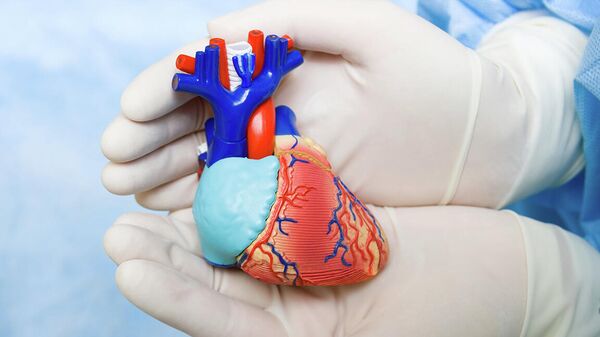 Человеческое сердце в руках врача