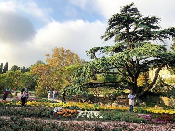 Крым. Никитский ботанический сад