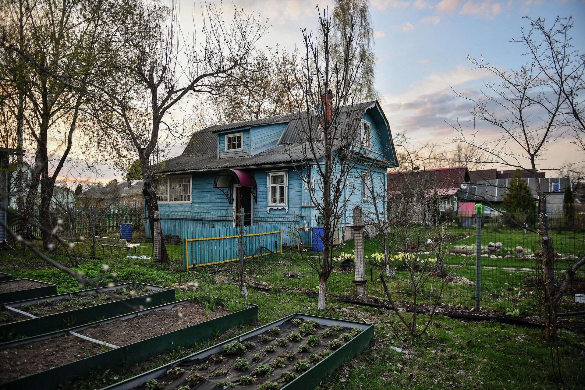 Дачные участки - РИА Новости, 1920, 09.06.2021