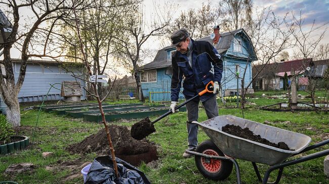 Мужчина на дачном участке