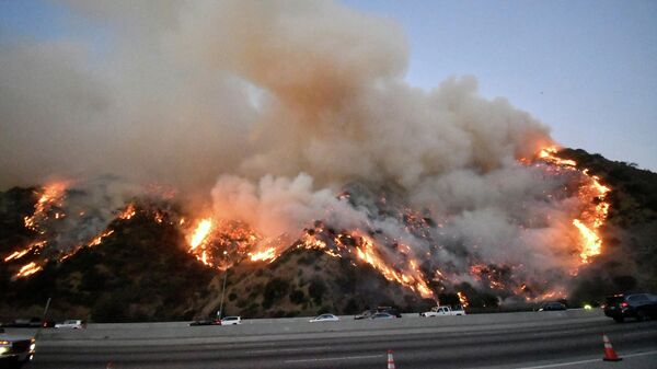 Лесной пожар рядом с Центром Гетти в Калифорнии