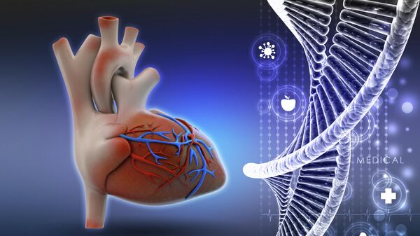 ДНК и человеческое сердце
