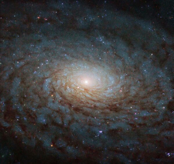 Спиральная галактика NGC 4380