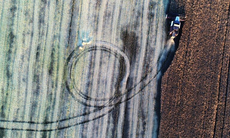 Комбайн во время уборки урожая рапса в Красноярском крае