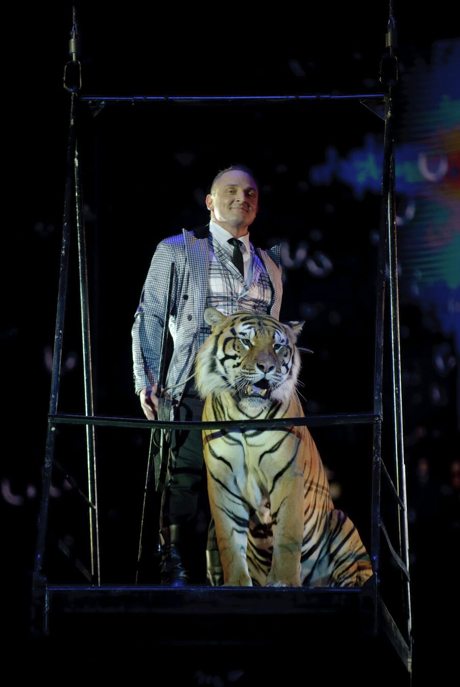 Животные в цирках и зоопарках: интервью с дрессировщиком и экспертом зоозащиты - Инде