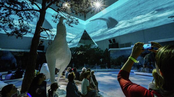 Посетители Дарвиновского музея в Москве смотрят свето-видео-музыкальную экспозицию Живая планета