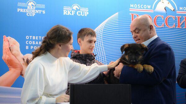 Омбудсмен Анна Кузнецова и глава кинологической федерации Владимир Голубев подарили томскому подростку, чью собаку переехала машина, щенка немецкой овчарки