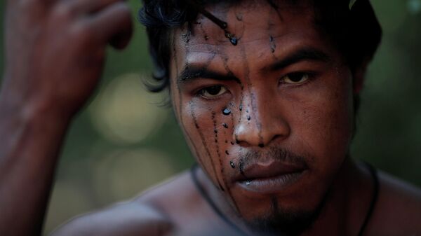 Паулу Паулинья Гуахахара, коренной индеец, занимавшийся сохранением амазонских лесов, убитый незаконными лесозаготовителями 
