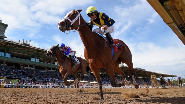 Джоэл Росарио учавствует в скачках  Breeders' Cup  на лошади Ковфефе. 2 ноября 2019 