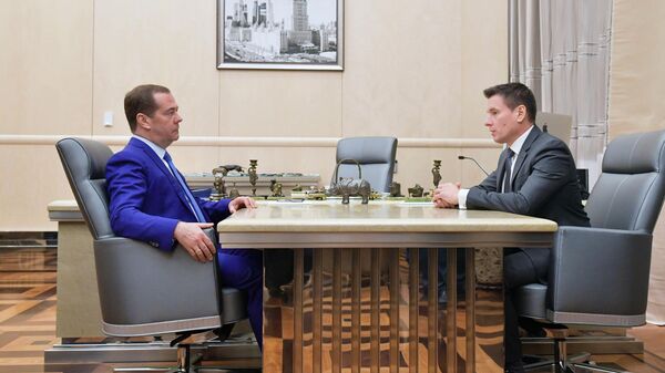 Дмитрий Медведев и генеральный директор АО Российский экспортный центр Андрей Слепнев   во время встречи. 5 ноября 2019