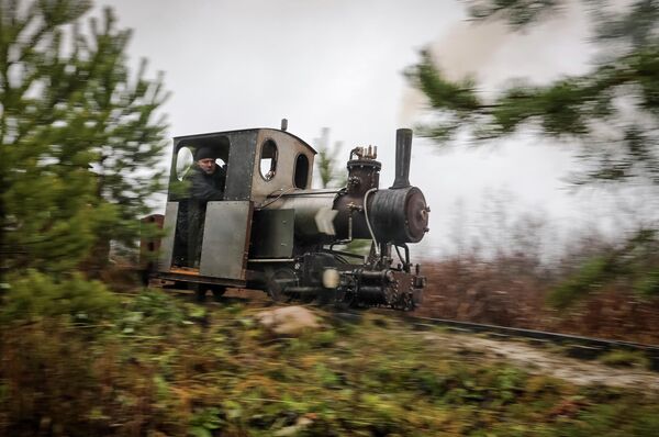 Самодельный паровоз, разработанный Павлом Чилиным, проезжает по железной дороге в поселке Ульяновка в Ленинградской области