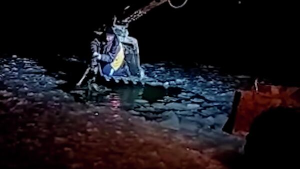 Спасение провалившейся под лед собаки в Шарташском парке. Стоп-кадр видео
