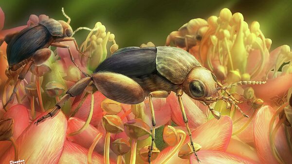 Так в представлении художника выглядел жук Angimordella burmitina, опыляющий цветы из группы эвдикотов