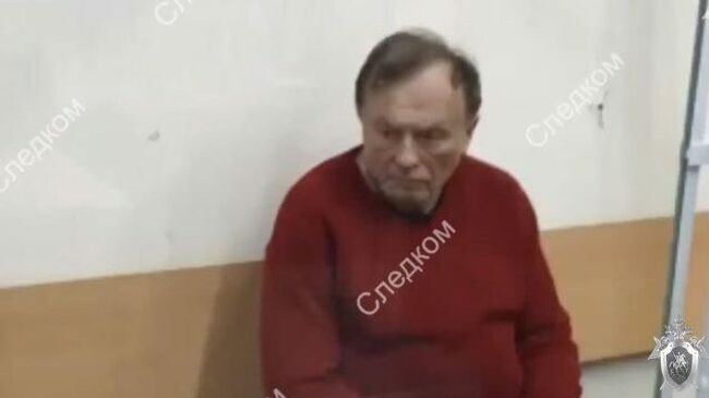 Заключен под стражу доцент Соколов: кадры СК