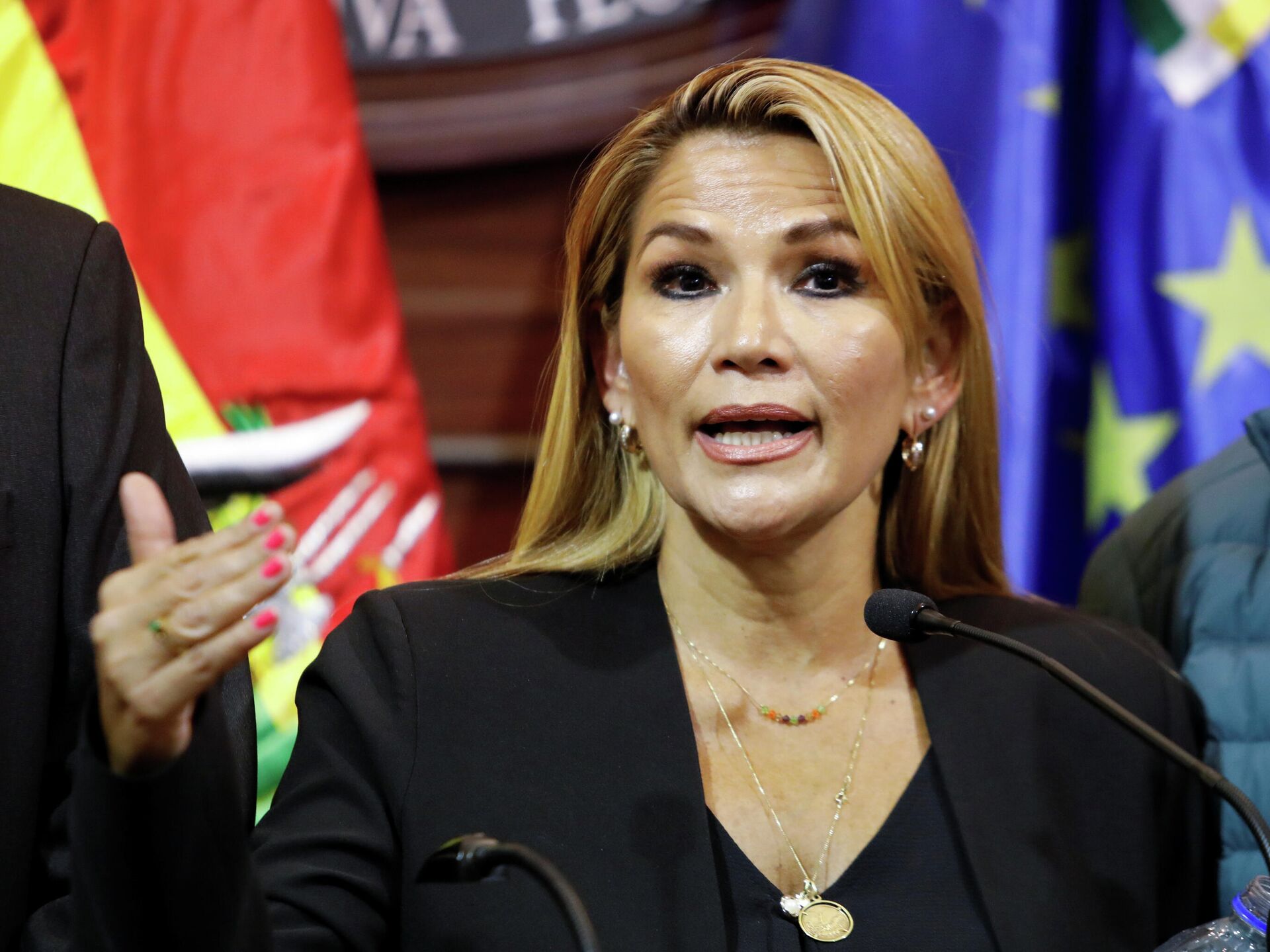 Аньес отвергла проект о защите Моралеса от уголовного преследования .