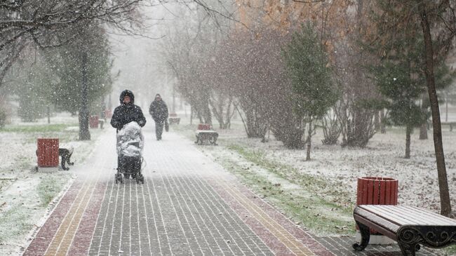 Посетители одного из парков города Томска