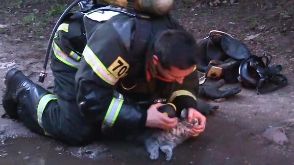 В Твери пожарный откачал пострадавшего кота