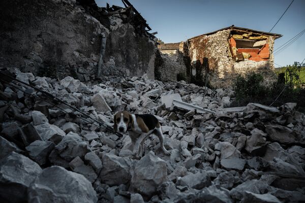 Последствия землетрясения на юго-востоке Франции