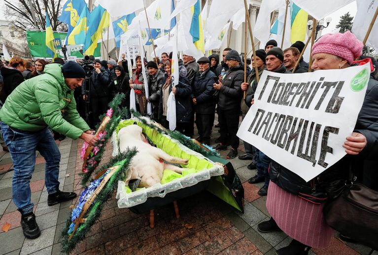 Митинг против земельной реформы перед зданием парламента в Киеве