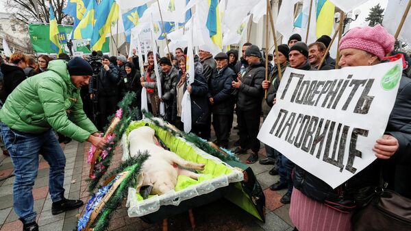 Митинг против земельной реформы перед зданием парламента в Киеве