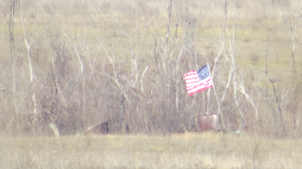 Флаги США на позициях украинских силовиков у линии соприкосновения в Донбассе