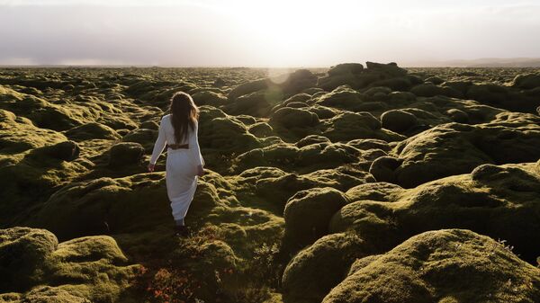 Зеленые лавовые поля в Эльдхрауне, Исландия  