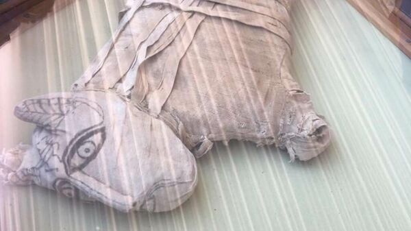 Мумии, найденные в районе комплекса Саккара в пригороде Каира