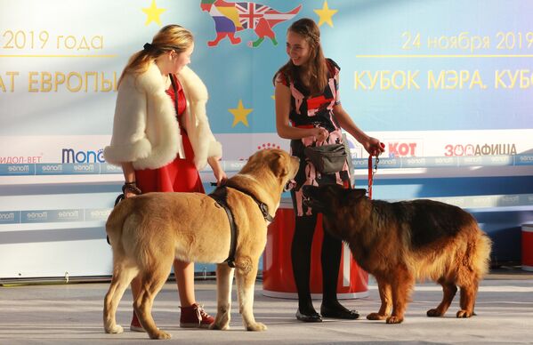 Участники с собаками на международной выставке собак в Москве