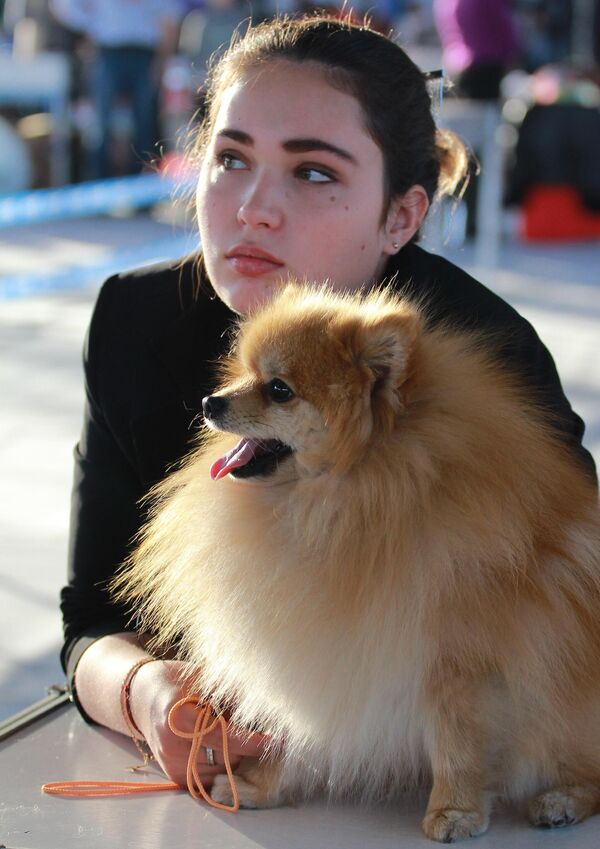 Девушка с собакой породы немецкий шпиц на международной выставке собак в Москве