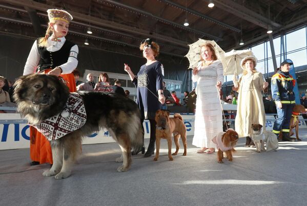 Участники с собаками на международной выставке собак в Москве