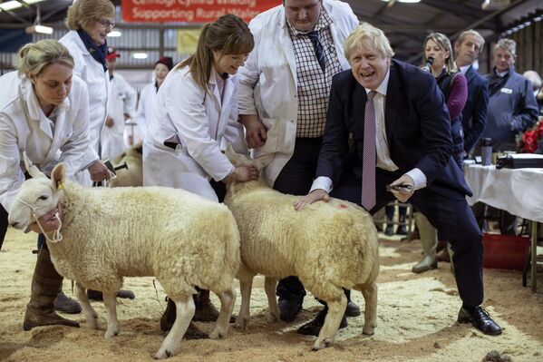 Премьер-министр Великобритании Борис Джонсон на Уэльской сельскохозяйственной выставке в Лланелведде