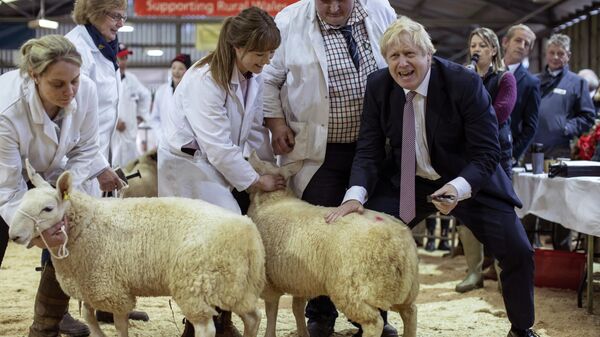 Премьер-министр Великобритании Борис Джонсон на Уэльской сельскохозяйственной выставке в Лланелведде