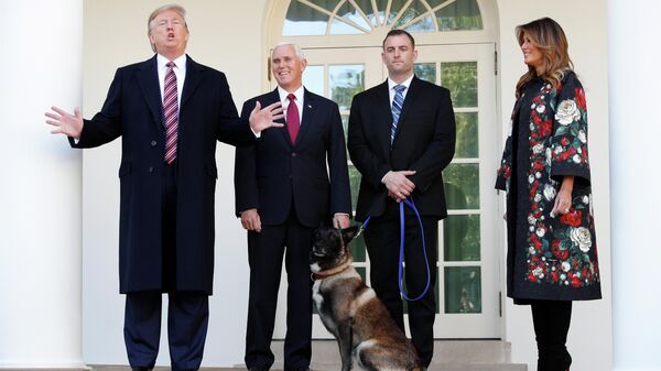 Президент США Дональд Трамп, вице-президент Майк Пенс и военная собака Конан