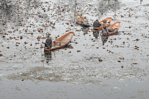 Мужчины на озере Нигин в Сринагаре 