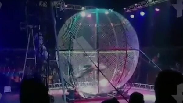 Артист цирка упал с мотоцикла во время исполнения трюка в Подмосковье