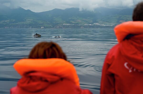 Туристы смотрят на дельфинов во время экскурсии Наблюдение за китами на острове Сан-Мигель 