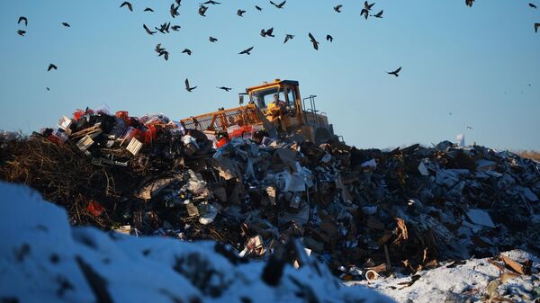 Бульдозер на полигоне твердых бытовых отходов возле Каменска-Уральского Свердловской области.