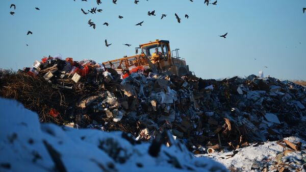 Бульдозер на полигоне твердых бытовых отходов возле Каменска-Уральского Свердловской области.