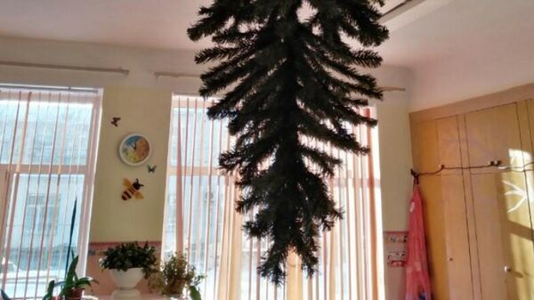 Елка, прикрепленная к потолку в детском саду в Омске