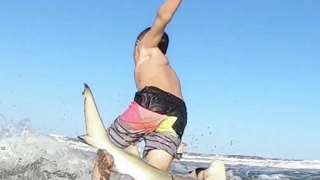 Стоп-кадр видео нападения акулы на ребенка
