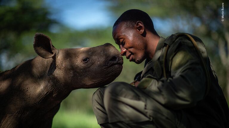 Martin Buzora. Шортлист Wildlife Photographer of the Year LUMIX People's Choice Award