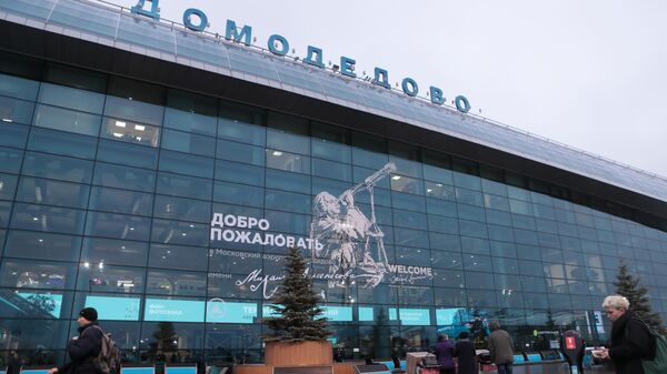 Пассажиры у терминала аэропорта Домодедово имени М. В. Ломоносова
