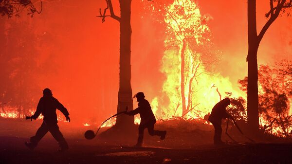 Тушение лесного пожара недалеко от Термейла в Австралии